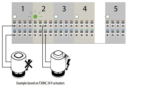 SALUS Wiring Centre 24V 8-Zones KL08NSB-Actuators connection