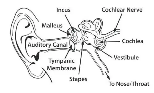 aiwa ESTM-128 In-Ear Headphones fig 2