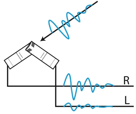 SENNHEISER MKH 8090 Compact Wide Cardioid Condenser Microphone - sound