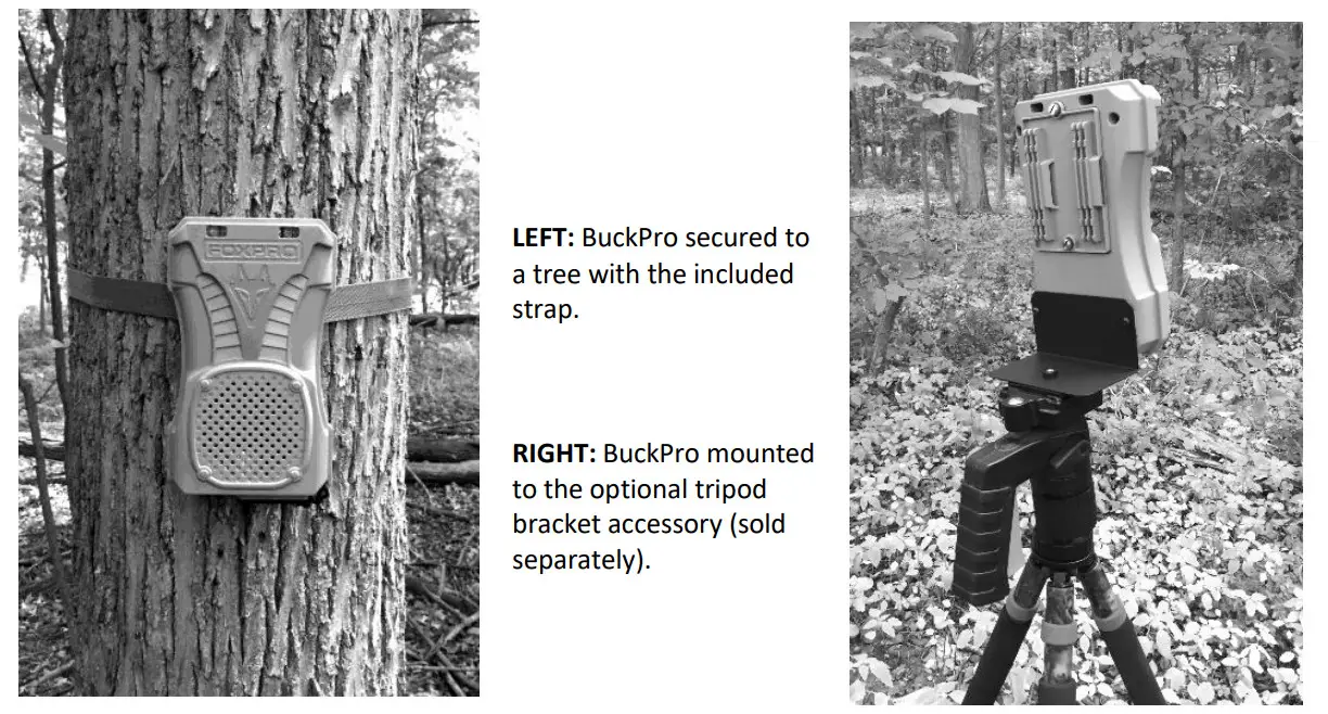 FOXPRO FP1843089 BUCK PRO Digital Game Call - Figure 6