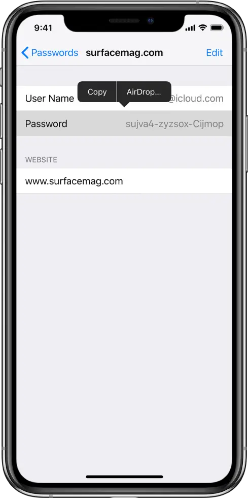 The account screen for a website. The password section is selected, and a menu containing the items Copy and AirDrop appears above it.