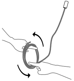 BCCI 28 7 Random Canopy - fig1