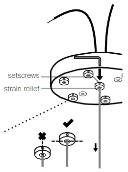 BCCI 28 7 Random Canopy - fig3