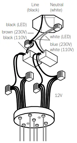 BCCI 28 7 Random Canopy - fig4