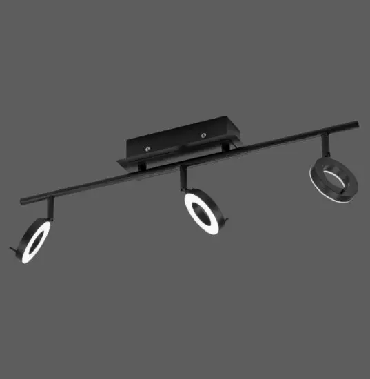 Paul Neuhaus 836593 SILEDA Ceiling Light