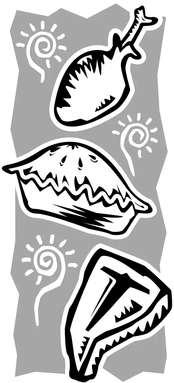 Amana W11508818C Gas Range - Logo