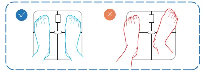 LEPULSE-Bioelectrical-Impedance-Analysis-Scale-FIG- (9)
