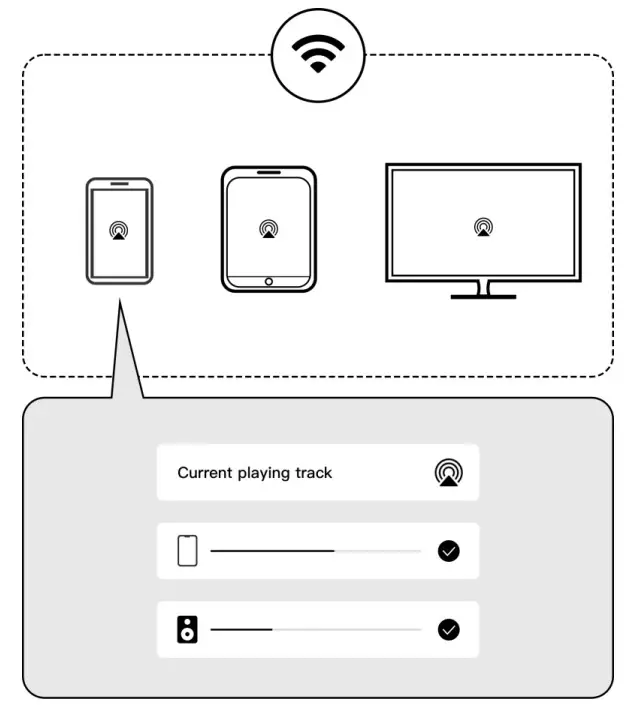 WiiM Pro Hi-Res Audio Streamer - Figure 8