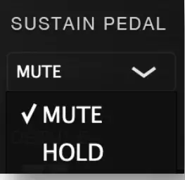 WEDGE-FORCE-OOLONG-Acoustic-Guitar-fig 10