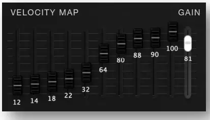 WEDGE-FORCE-OOLONG-Acoustic-Guitar-fig 21