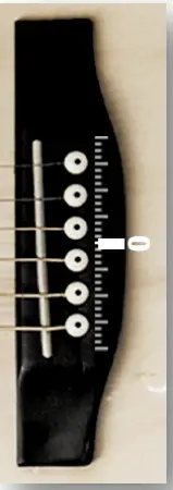 WEDGE-FORCE-OOLONG-Acoustic-Guitar-fig 28