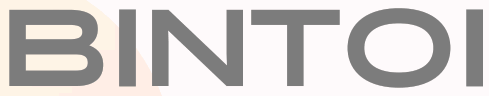 BINTOI - logo