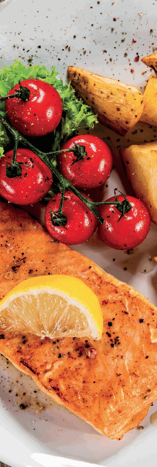 SALTER EEK220162 Professional AeroGrill Pro - fig 1