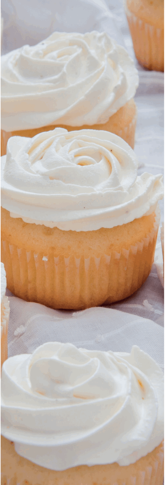 SALTER EEK220162 Professional AeroGrill Pro - fig 5