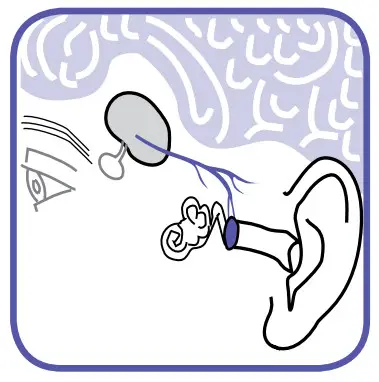 BRAUN IRT 6020 ThermoScan Ear thermometer - FIGURE 5