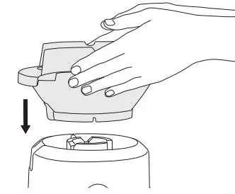 Sage BJE530 the Nutri Juicer Cold Plus User Guide - Place filter bowl surround on top of the motor base
