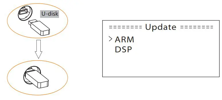 SOLAX X3 Series Solar Inverter User Manual - then insert U-disk