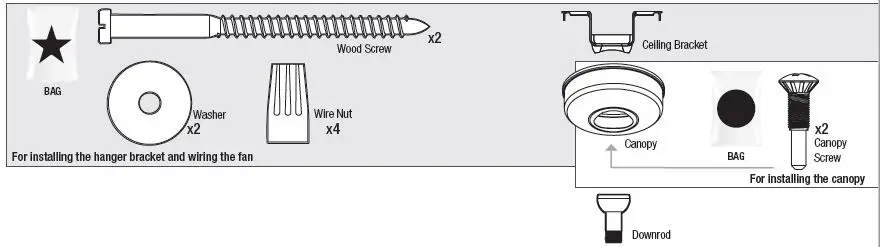 Hunter 51422 Trillium Ceiling Fan-3