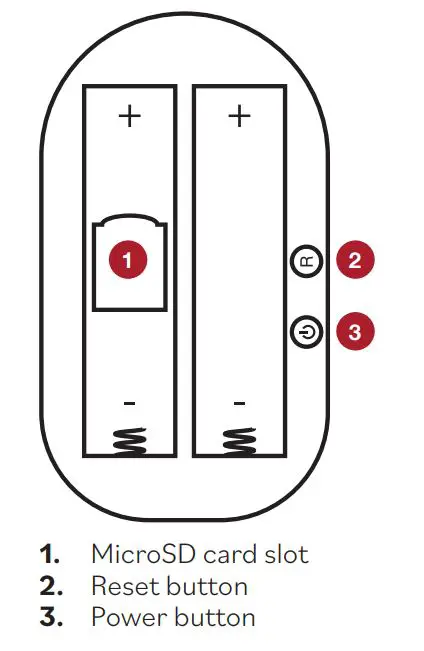cocoon-Smart-Wireless-Camera-with-Solar-Panel-2