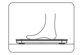 WYZE WSCALX Scale X Digital Scale - figure 2