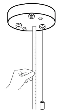 BCCI 28 3 Random Canopy - fig1