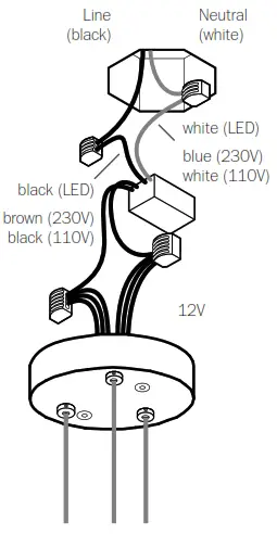 BCCI 28 3 Random Canopy - fig3
