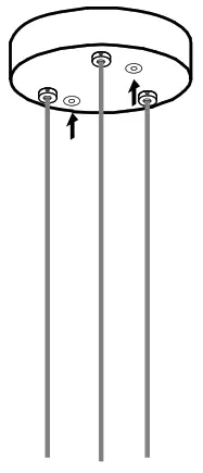 BCCI 28 3 Random Canopy - fig4