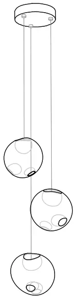 BCCI 28 3 Random Canopy