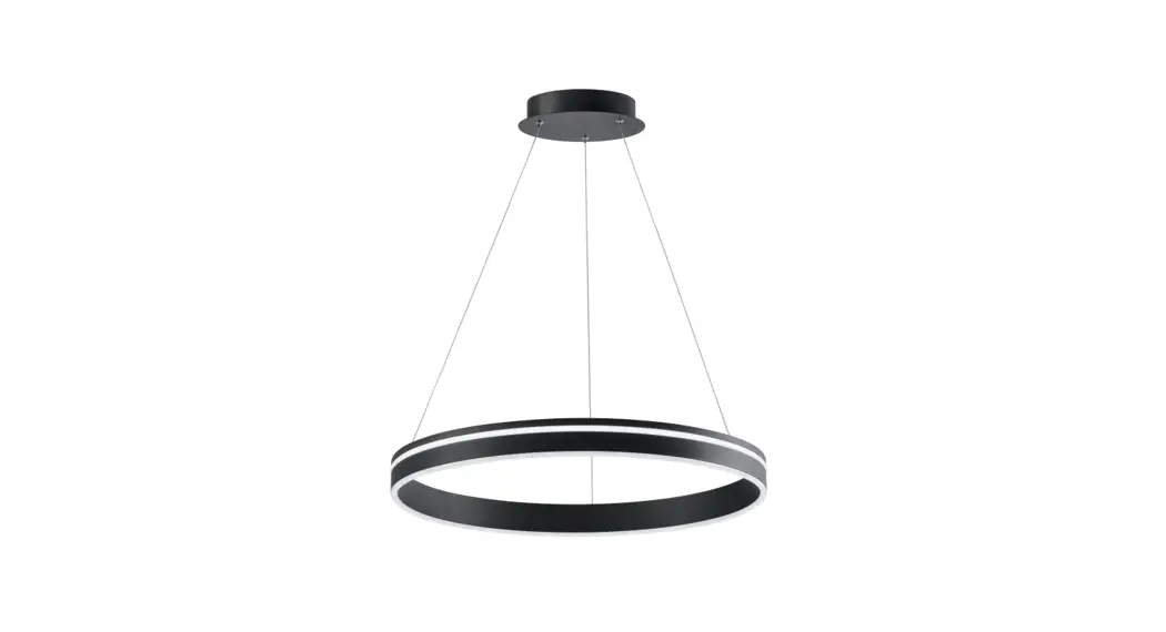 Paul Neuhaus 8411-13 Q-vito Led Anthracite Pendant Light Instruction Manual