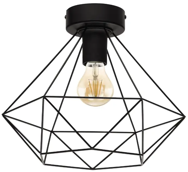 EGLO-TARBES-2-Ceiling-Light-PRODUCT