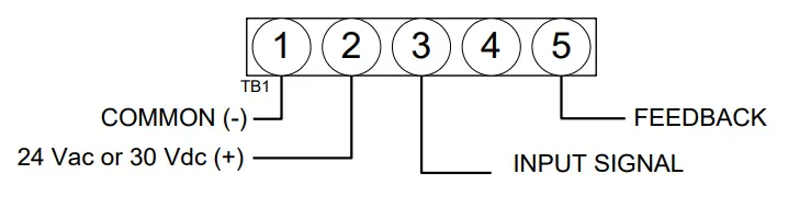 neptronic-RM080FN-Actuators-fig3