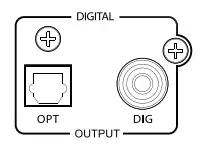 Digital Outputs