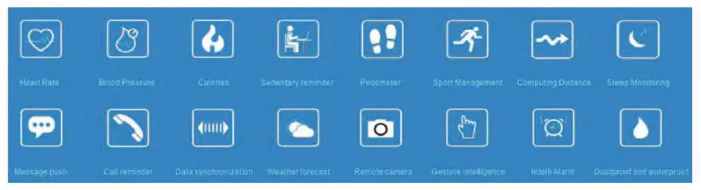 Main function description