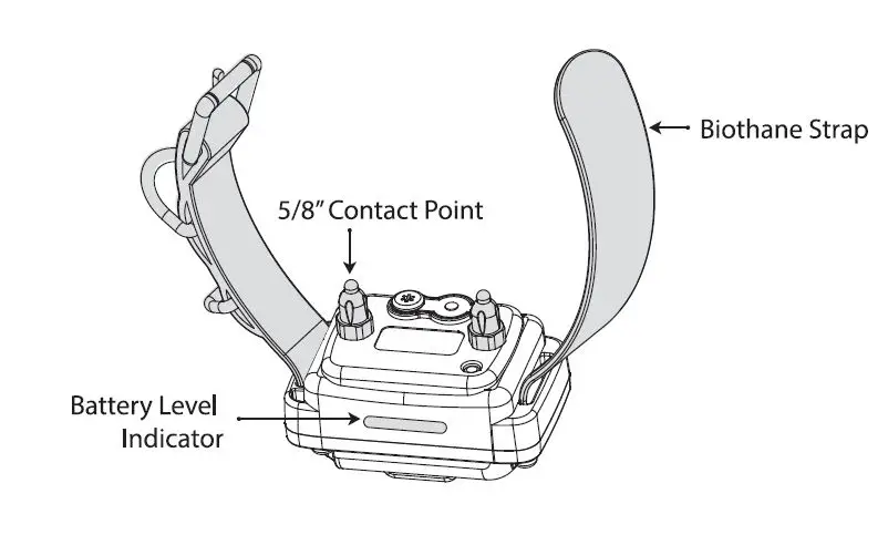 E-Collar 1000 Series Wired E-Fence System 03