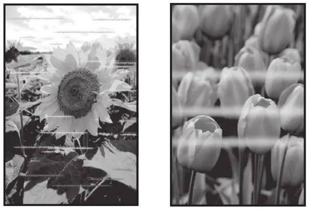 Canon PIXMA E3300 Series User Manual - Uneven or Streaked Colors