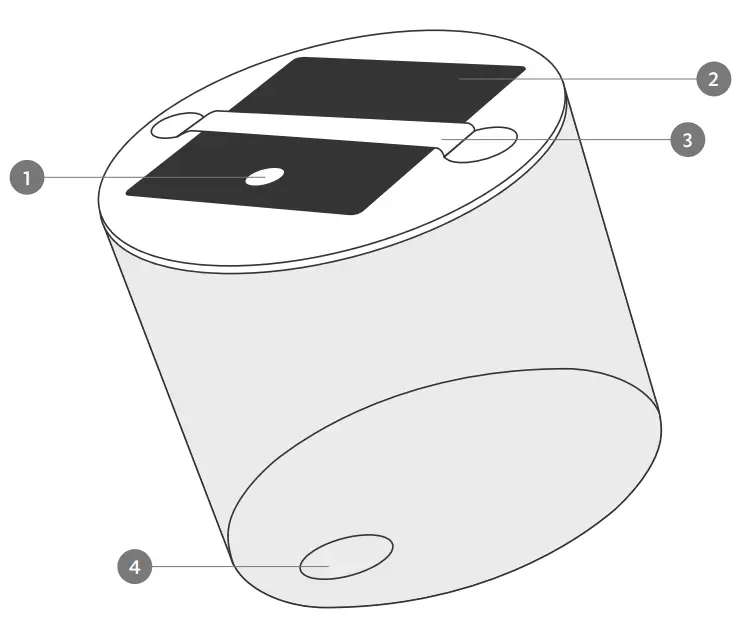 shopify MPOWRD Luci Candle