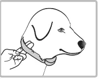 Educator ET-400 3-4 Mile Rechargeable Dog Trainer E-collar (7)