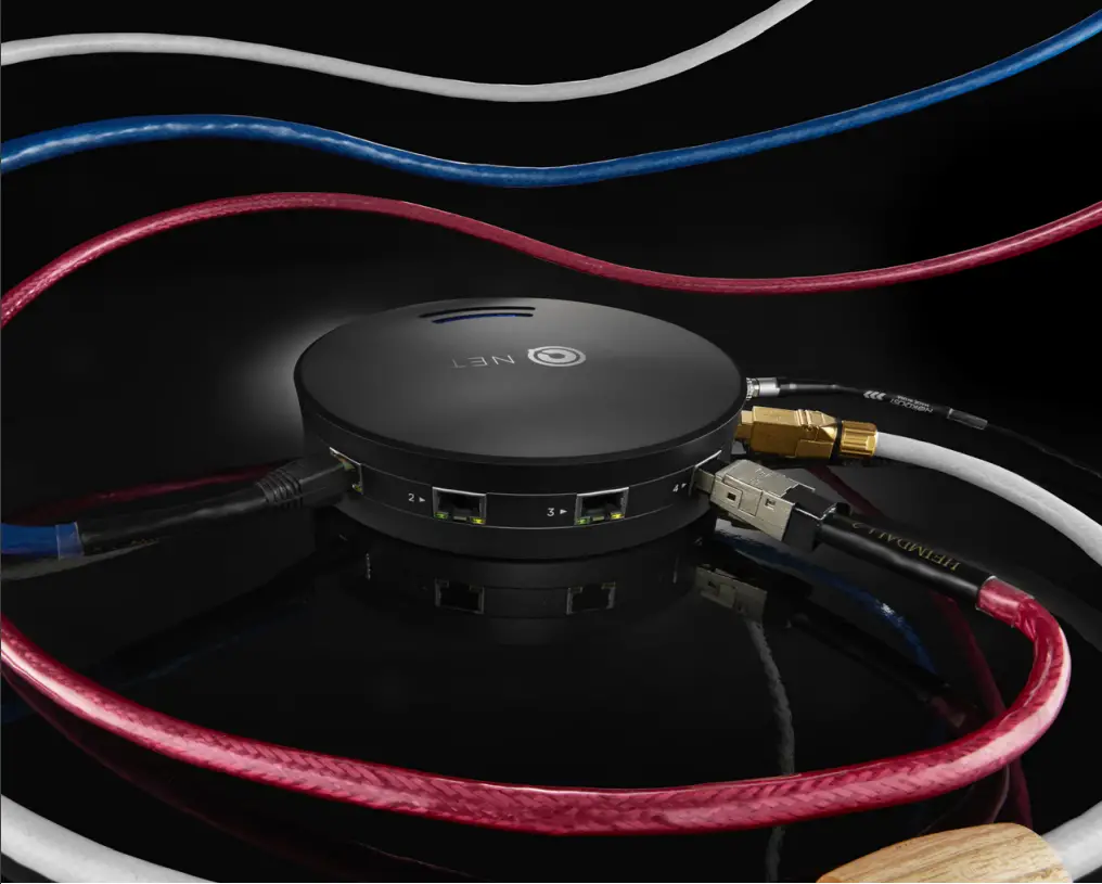 NET Network Switch - fig 1