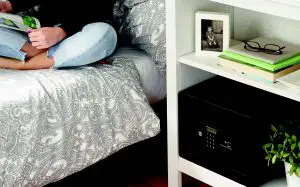 High Security Fingerprint Safes Datasheet