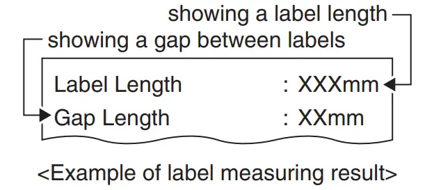 CITIZEN CT-S4500 Line Thermal Printer - Fig 57