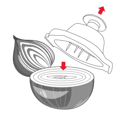 DARTWOOD-B09XQX4PJV-All-in-One-Vegetable-Chopper-9