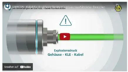 SAMCON-ExCam-IPQ1615-Explosion-Proof-Camera- (22)