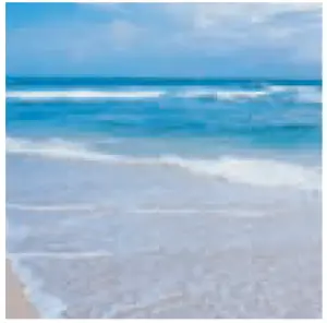 water next to the ocean