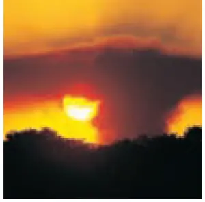 a sunset in the background