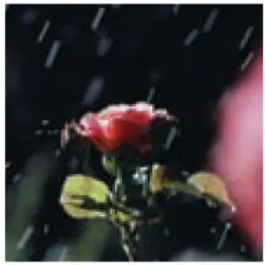 a blurry image of a motorcycle