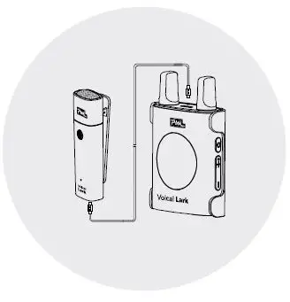 PIXEL Voical Lark 2-Person Wireless Microphone System-11