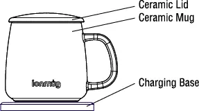 diagram mug
