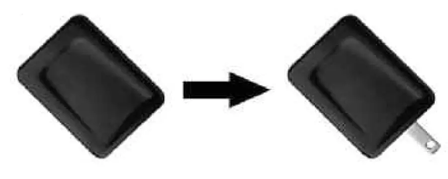 FRUNSI T11 RubensTab fig 2