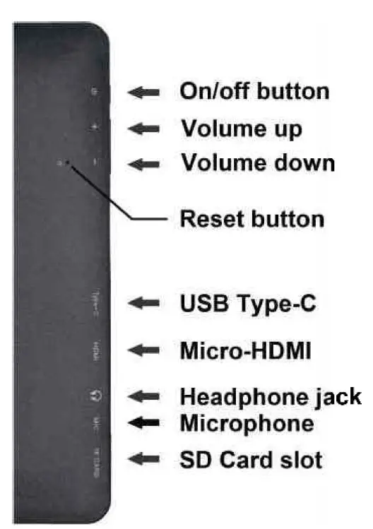 FRUNSI T11 RubensTab fig 3