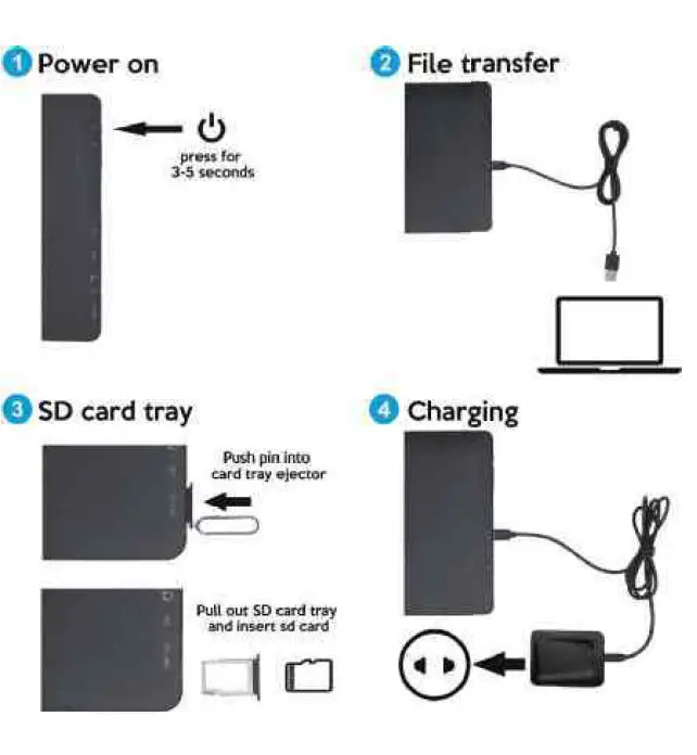 FRUNSI T11 RubensTab fig 4